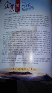 公司形象照