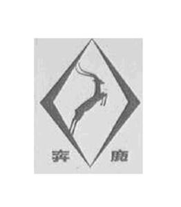 公司形象照
